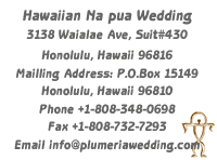�v�������A�E�G�f�B���O �n���C